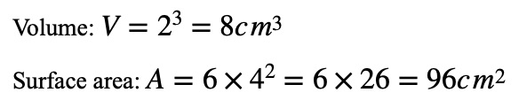 Relationship Between Surface Area and Volume example 1