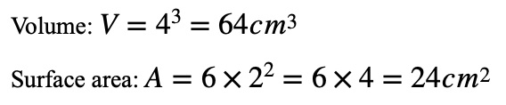 Relationship Between Surface Area and Volume example 2